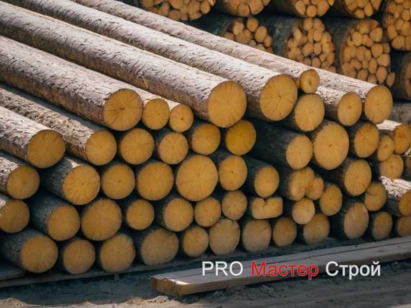 Технологии обработки дерева для улучшения долговечности и внешнего вида