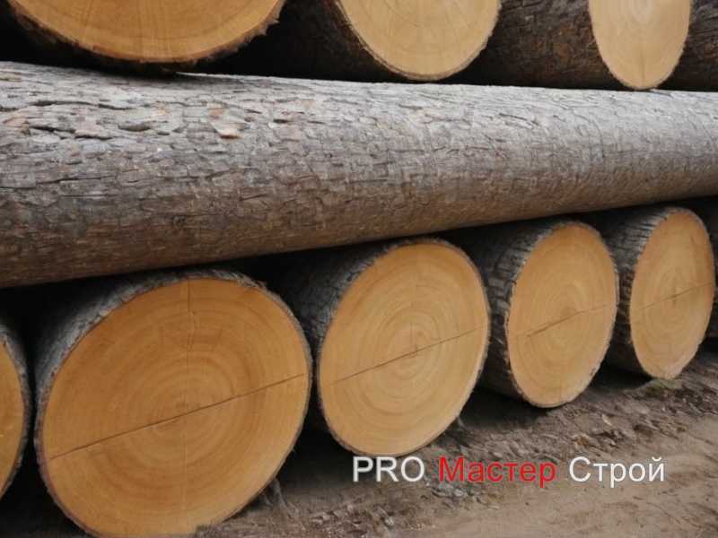 Сравнение пород древесины для shou sugi ban