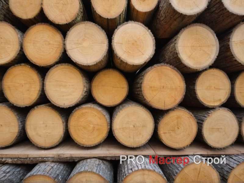 Выбор древесины для разных элементов конструкции