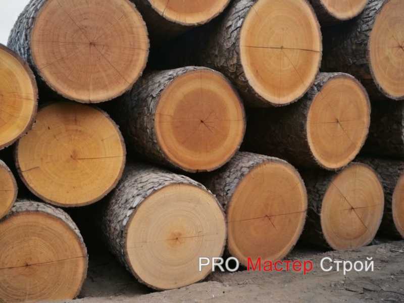 Оптимальный выбор древесины для столов и стульев