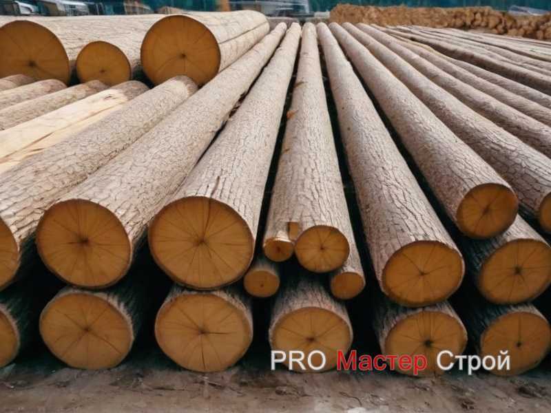 Как построить деревянные ящики и контейнеры для растений