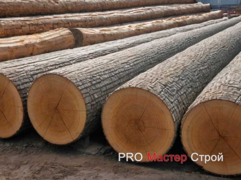 Как выбрать масло для обработки древесины