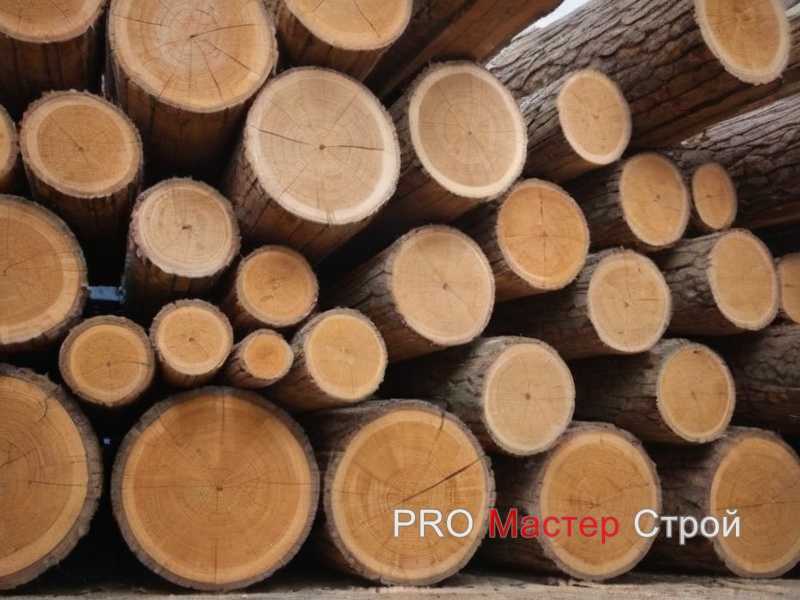 Выбор покрытия и масла для продления срока службы древесины