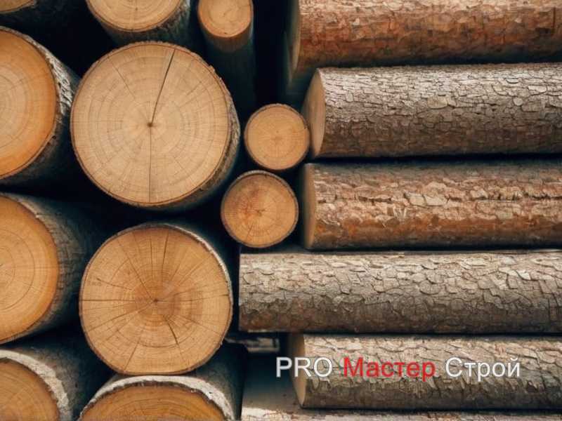 Влияние сезонности и влажности на выбор древесины