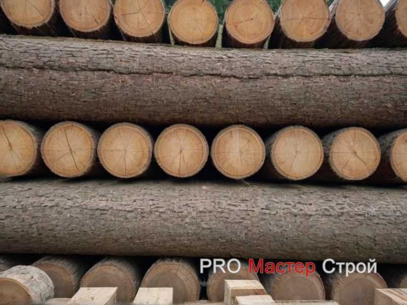 Как выбрать древесину для изготовления декоративных предметов для сада Как выбрать древесину для изготовления декоративных предметов для сада