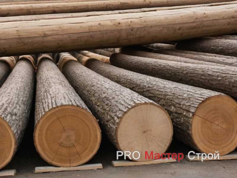 Сравнение разных видов древесины по цене и долговечности