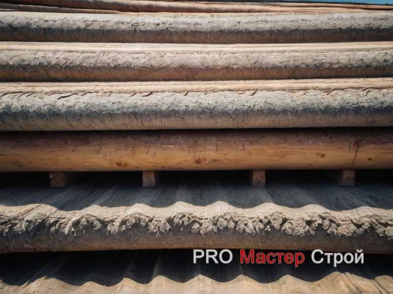 Рекомендации по проверке качества древесины