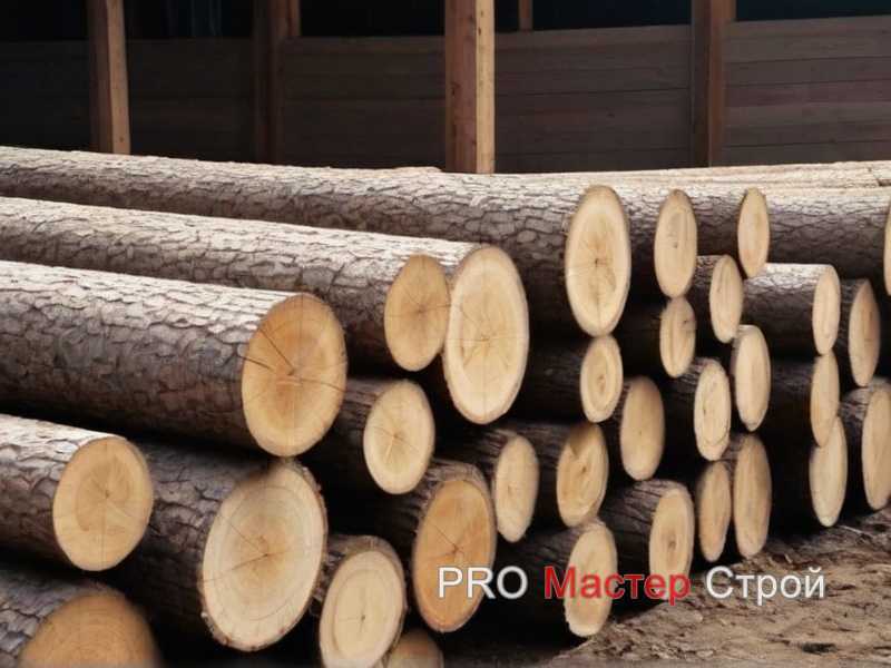 Как использовать обугленное дерево в дизайне