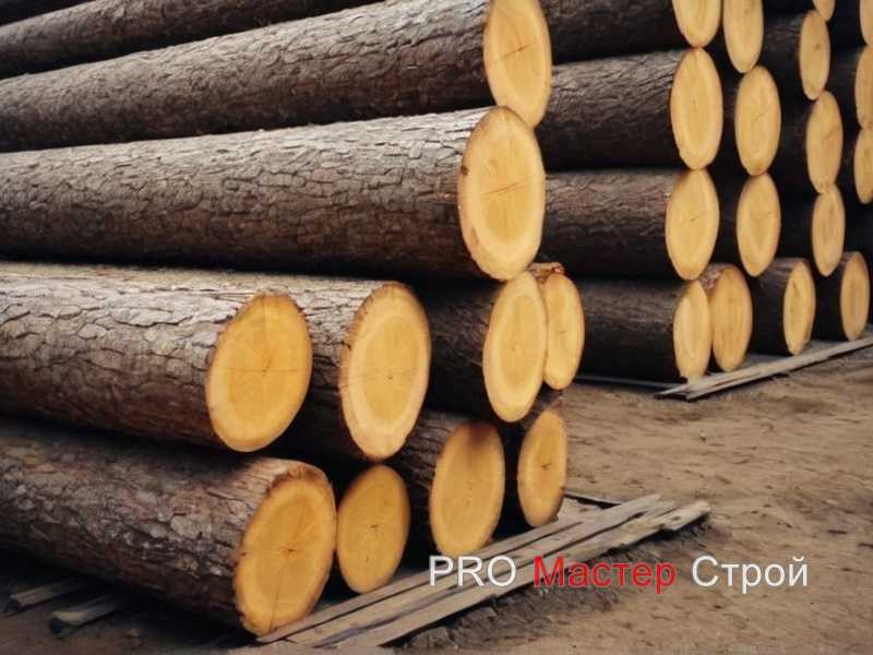 Ошибки при выборе древесины и как их избежать