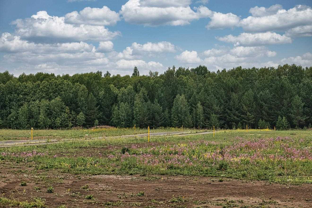 Как выбрать и купить участок для дачи: лучшие предложения на рынке