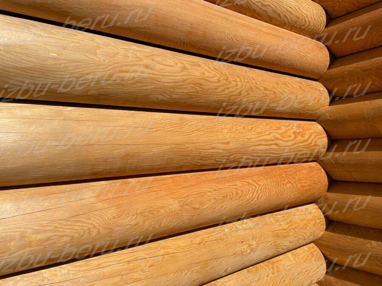 Определение плотности и твердости древесины