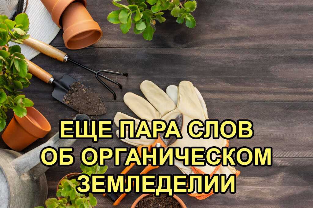 Органические удобрения